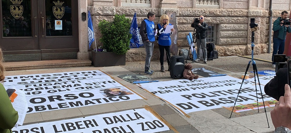 Gli animalisti: “Contro gli orsi una politica intollerante, saremo in piazza da trentini anche per dire basta ai tentativi
